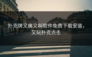 扑克牌又痛又叫软件免费下载安装，又玩扑克点击