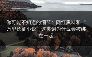 你可能不知道的细节：网红黑料和“万里长征小说”这类词为什么会被绑在一起