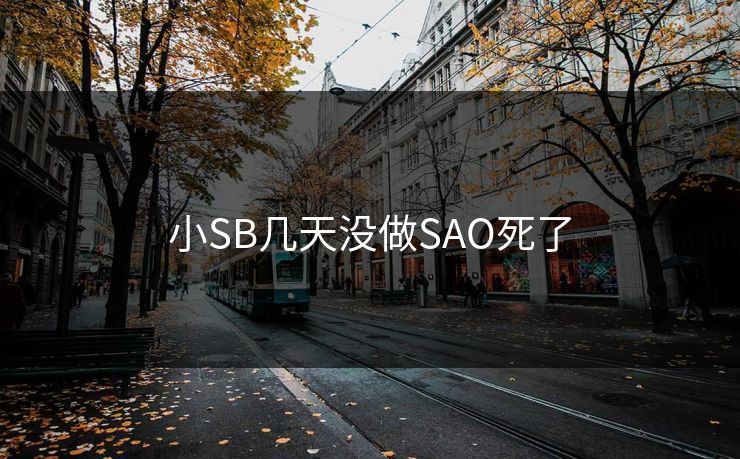 小SB几天没做SAO死了