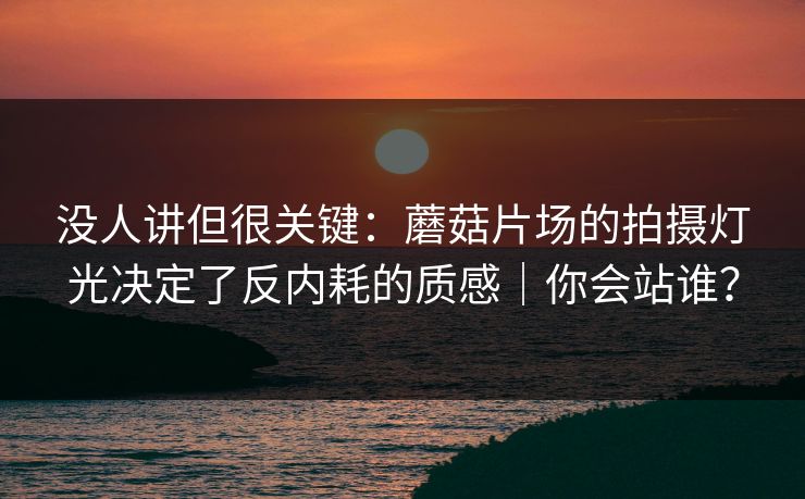 没人讲但很关键：蘑菇片场的拍摄灯光决定了反内耗的质感｜你会站谁？