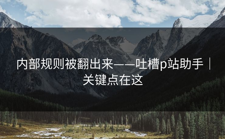 内部规则被翻出来——吐槽p站助手｜关键点在这