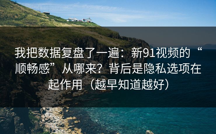 我把数据复盘了一遍：新91视频的“顺畅感”从哪来？背后是隐私选项在起作用（越早知道越好）