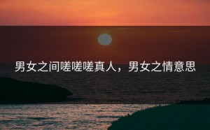 男女之间嗟嗟嗟真人，男女之情意思