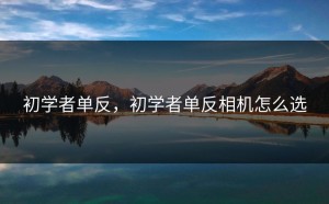 初学者单反，初学者单反相机怎么选