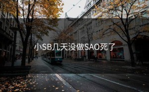 小SB几天没做SAO死了