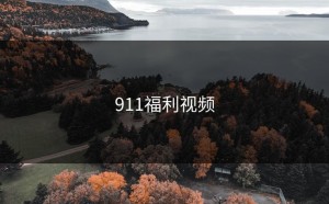 911福利视频