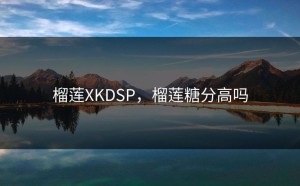 榴莲XKDSP，榴莲糖分高吗