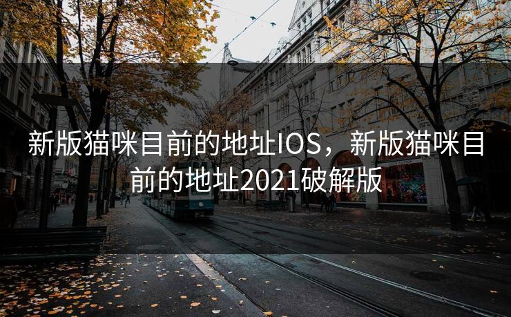 新版猫咪目前的地址IOS，新版猫咪目前的地址2021破解版